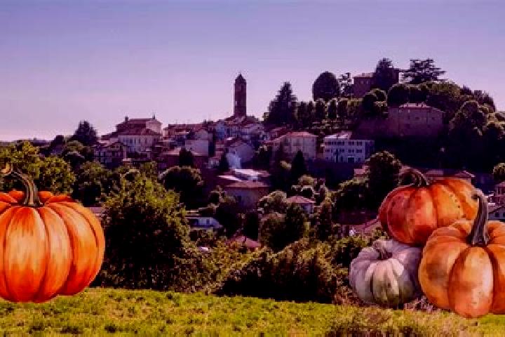 Aria, 24 — Escort in Gerbole-Zucche, Italy