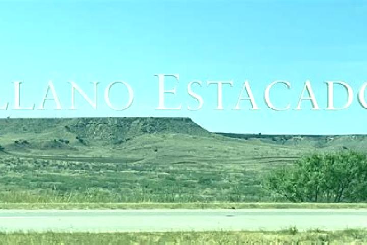 Aria, 24 — Escort in Llano Nuevo, Mexico