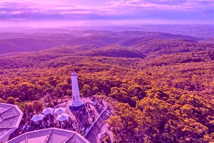 Aria, 24 — Escort in Mount Lofty, Australia