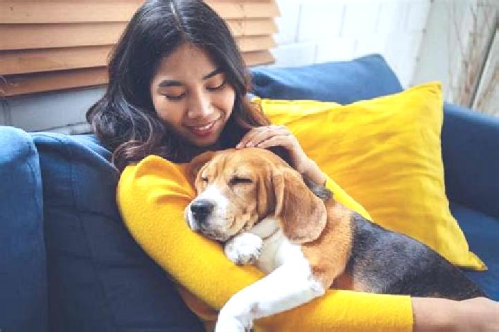 Aria, 25, a chestnut grey-eyed indian companion based in Umur. Offering Striptease, Fetish, Travel Companion. Available for incall and outcall, day and eveni...
