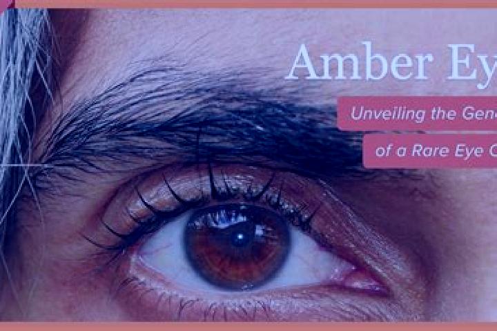 Aria, 25, a red amber-eyed latina companion based in Altefaehr. Offering BDSM, Overnight, Duos. Available for incall and outcall, day and evening dates.