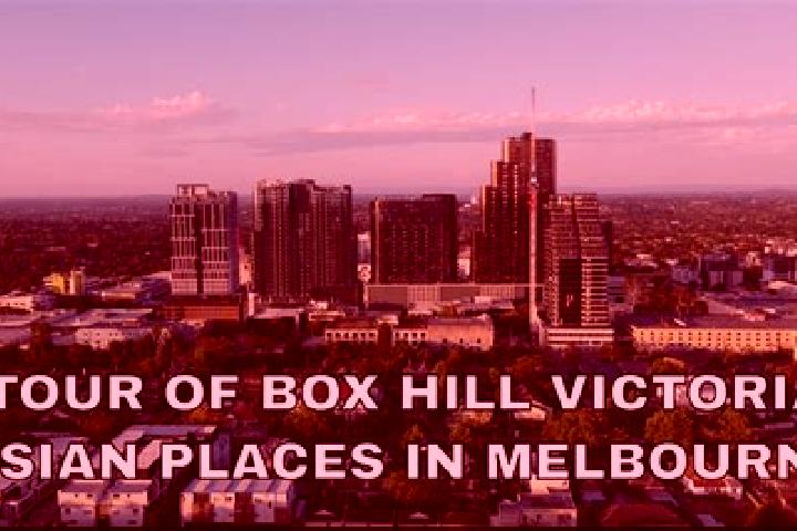 Aria, 25 — Escort in Box Hill, Australia