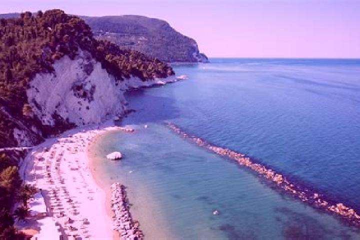 Aria, 25 — Escort in Falerone, Italy
