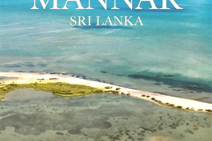 Aria, 25 — Escort in Mannar, Sri Lanka