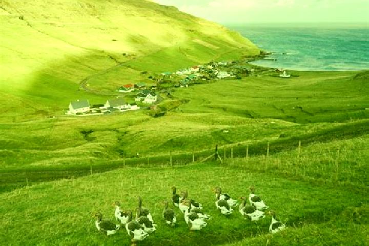 Aria, 25 — Escort in Nordragota, Faroe Islands