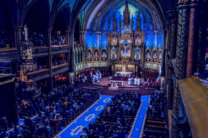 Aria, 25 — Escort in Notre-Dame-de-Grace, Canada