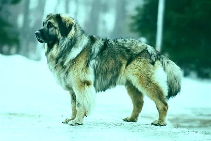 Aria, 26, a black brown-eyed caucasian companion based in Wiscasset. Offering Dinner Date, Travel Companion, Overnight, Deep French Kissing. Available for in...