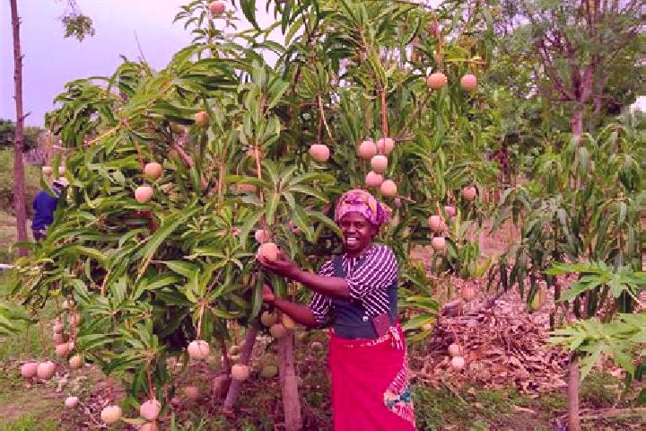 Aria, 26 — Escort in Kitui, Kenya