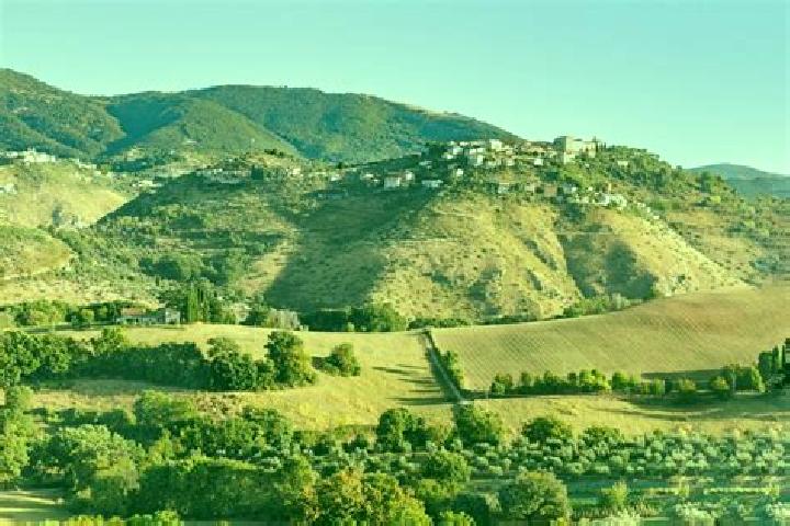 Aria, 26 — Escort in Monte San Giovanni in Sabina, Italy