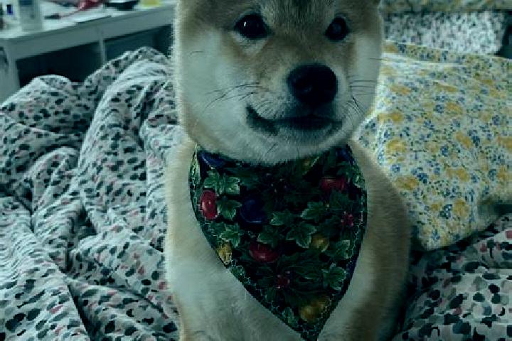 Aria, 26 — Escort in Shiba, China