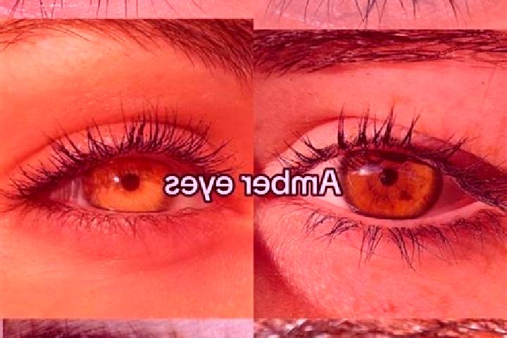 Aria, 27, a chestnut amber-eyed mediterranean companion based in Oxilithos. Offering Prostate Massage, Travel Companion, Striptease. Available for incall and...