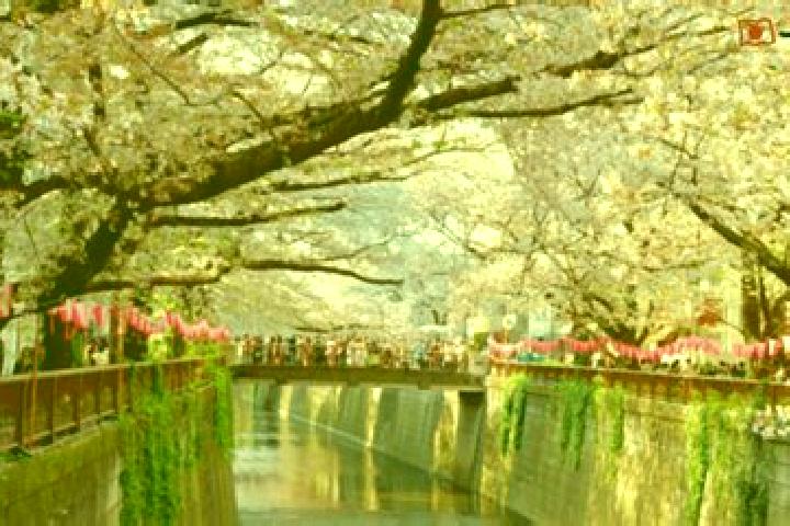 Aria, 27 — Escort in Itogawa, Japan