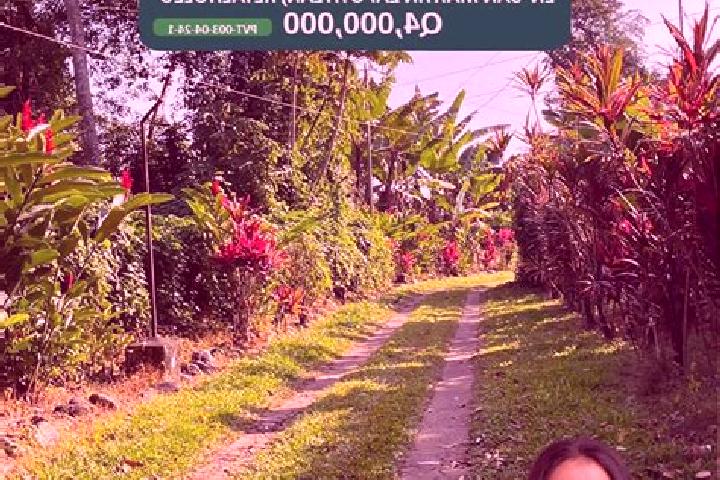 Aria, 27 — Escort in San Martin Zapotitlan, Guatemala