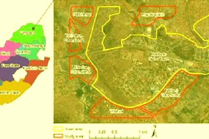 Aria, 27 — Escort in Tshituni, South Africa