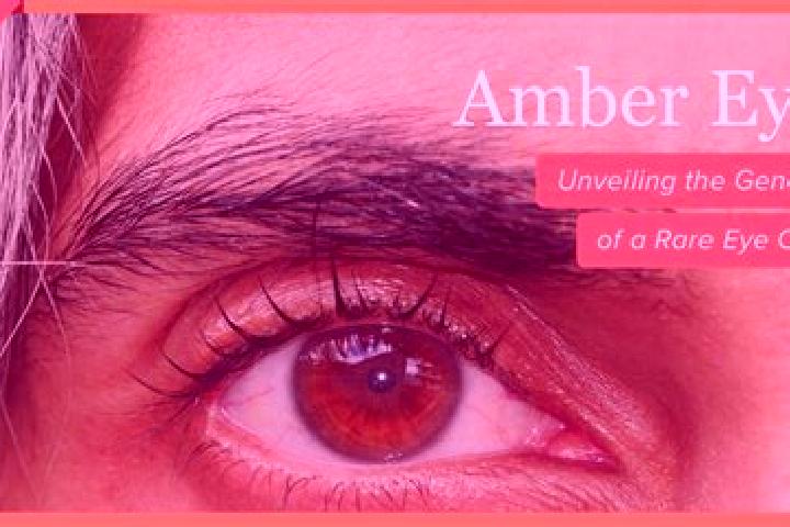 Aria, 28, a black amber-eyed slavic companion based in Teiri. Offering Tantra, Striptease, Massage. Available for incall and outcall, overnight bookings avai...