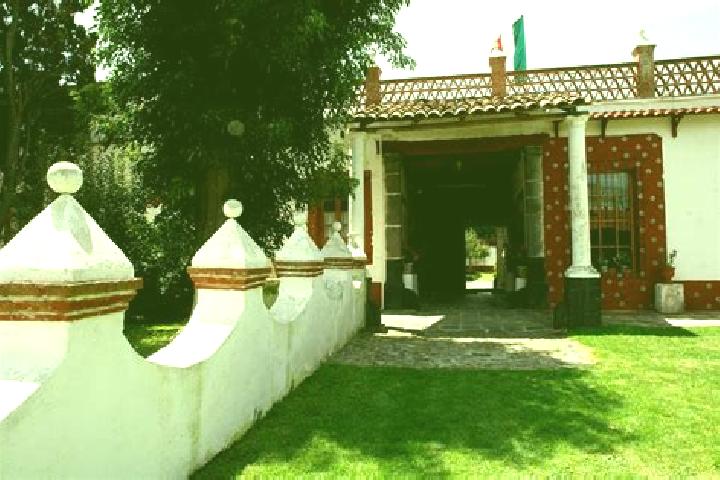 Aria, 28 — Escort in Ex- Hacienda de Ocotza, Mexico