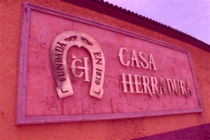 Aria, 28 — Escort in Romulo Calzada (La Herradura), Mexico