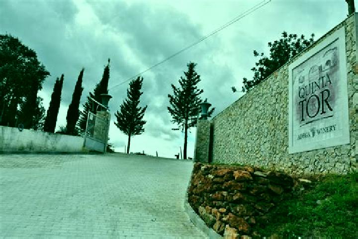 Aria, 28 — Escort in Sao Marcos da Serra, Portugal