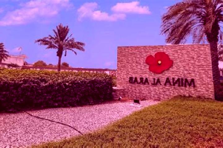 Aria, 29 — Escort in Al Araqa, Palestine