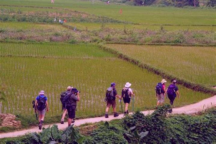 Aria, 29 — Escort in Bac Kan, Vietnam