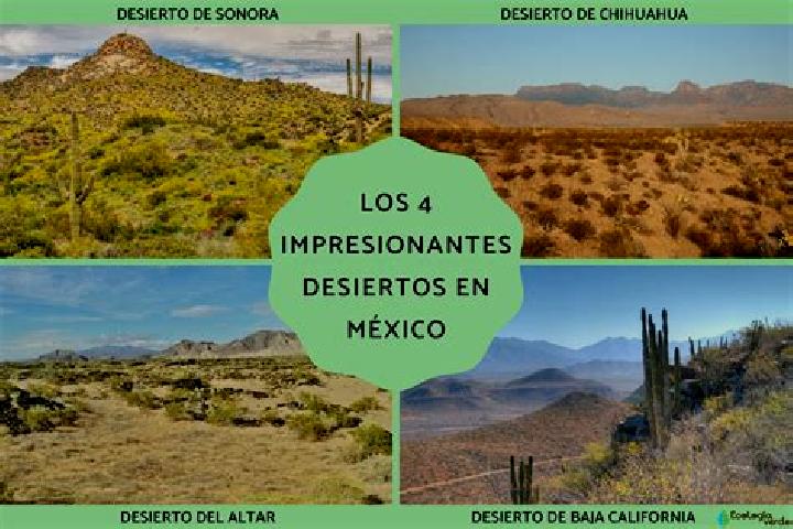 Aria, 29 — Escort in El Desierto, Mexico