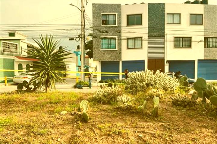 Aria, 29 — Escort in Parque de Poblamiento Solidaridad, Mexico