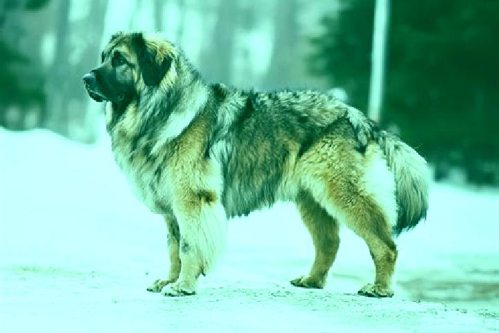 Aria, 30, a black brown-eyed caucasian companion based in Stoltebull. Offering Girlfriend Experience, Dinner Date, Erotic Massage, Travel Companion. Availabl...