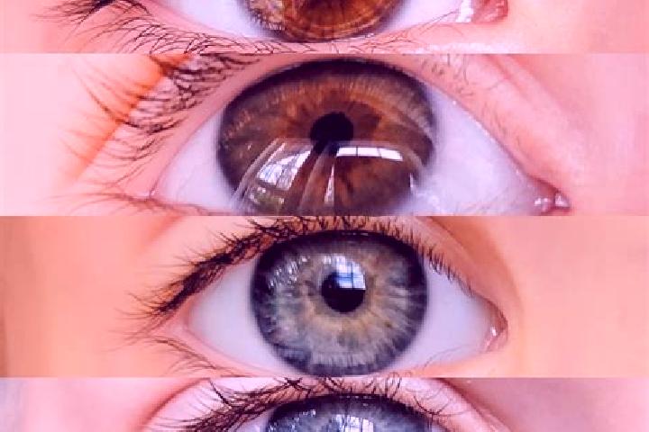 Aria, 30, a chestnut hazel-eyed mixed companion based in New Braintree. Offering Dinner Date, Massage, CIM, GFE. Available for incall and outcall, day and ev...
