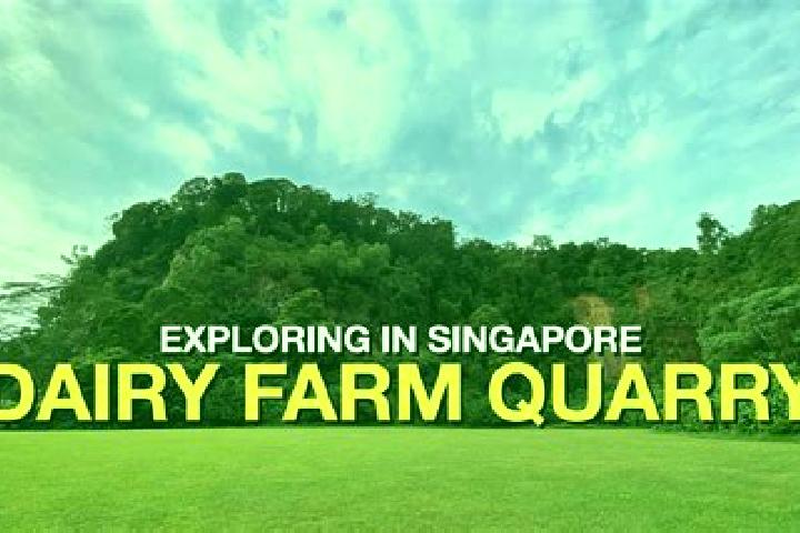 Aria, 30 — Escort in Dairy Farm, Singapore