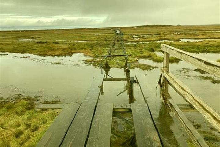 Aria, 30 — Escort in Hooper Bay, United States