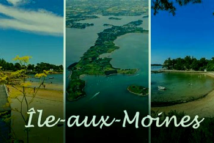 Aria, 30 — Escort in Ile-aux-Moines, France