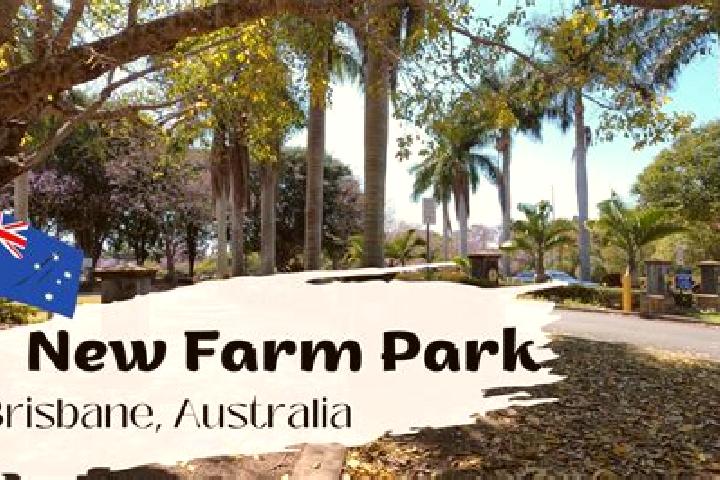 Aria, 30 — Escort in New Farm, Australia