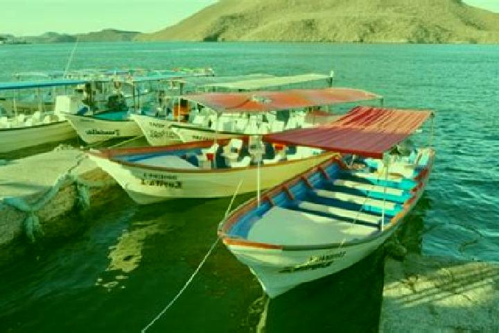 Aria, 30 — Escort in Topolobampo, Mexico