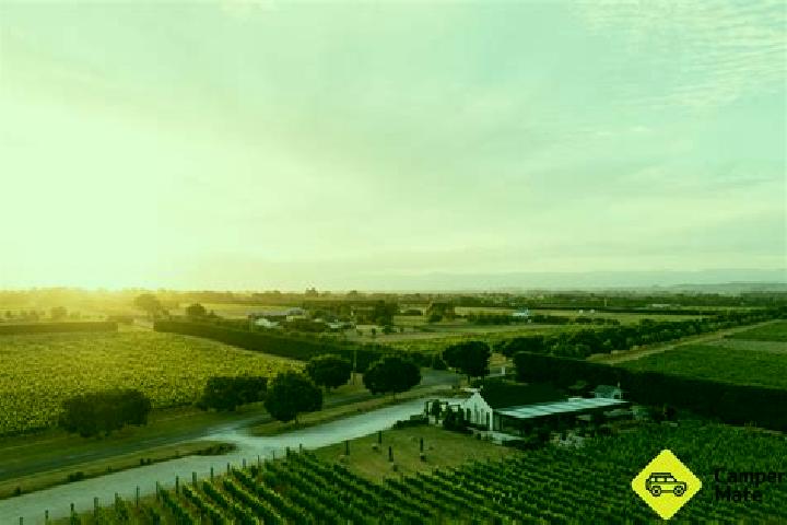 Aria, 30 — Escort in Vineyard, Australia