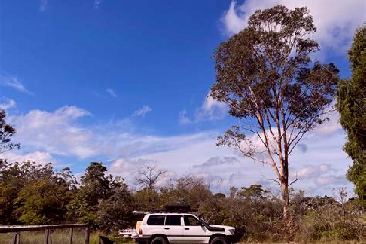 Aria, 30 — Escort in Wedderburn, Australia