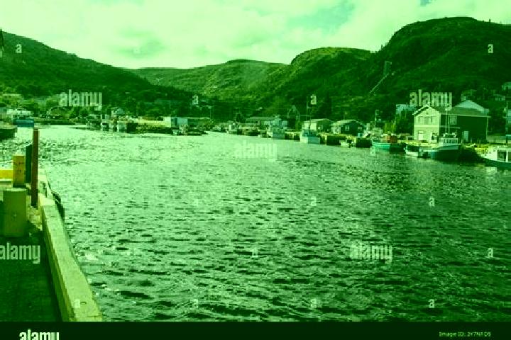 Aria, 31, a platinum blonde grey-eyed caribbean companion based in Petty Harbour-Maddox Cove. Offering Dinner Date, Overnight, GFE. Available for incall and ...