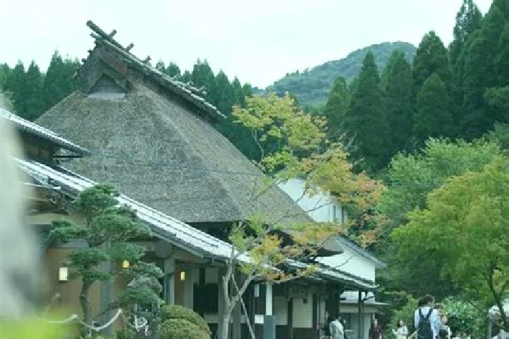 Aria, 31 — Escort in Koishiwara, Japan