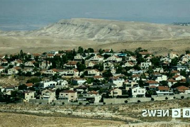 Aria, 31 — Escort in Sal it, Palestine