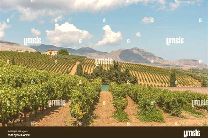 Aria, 31 — Escort in San Cipirello, Italy