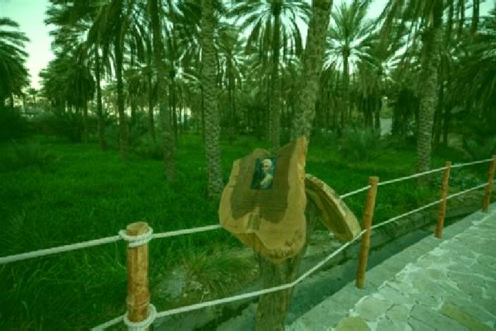 Aria, 32 — Escort in Sama il, Oman