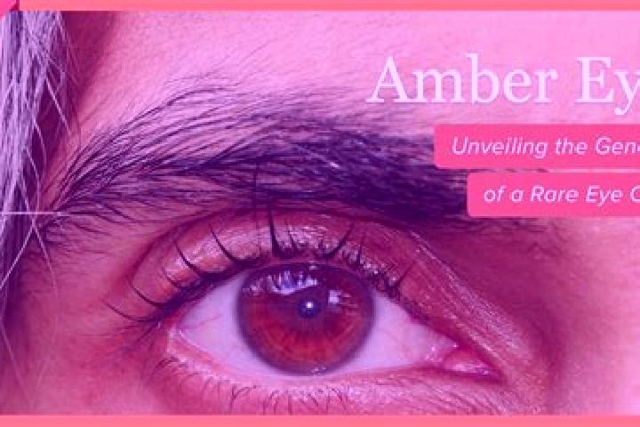 Aria, 33, a black amber-eyed mixed companion based in Eisenbach. Offering Overnight, Dinner Date, Erotic Massage. Available for incall and outcall, overnight...