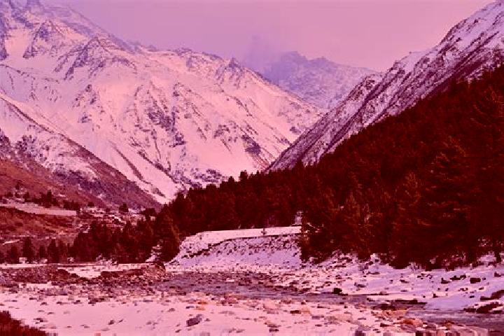 Aria, 34, a red hazel-eyed mixed companion based in Chitkul. Offering A-Level, Overnight, Domination, Travel Companion. Available for incall and outcall, day...
