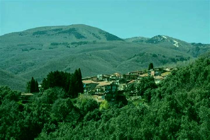 Aria, 34 — Escort in Santo Stefano in Aspromonte, Italy