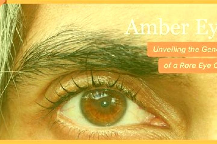 Aria, 35, a black amber-eyed caribbean companion based in Khanpur. Offering Dinner Date, BDSM, A-Level, OWO. Available for incall and outcall, overnight book...