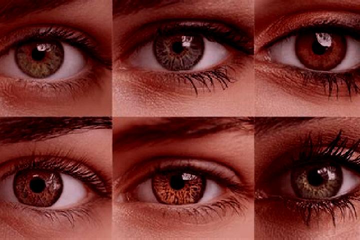 Aria, 35, a black hazel-eyed middle eastern companion based in Cabo Verde. Offering A-Level, OWO, Duos, Roleplay. Available for incall and outcall, day and e...