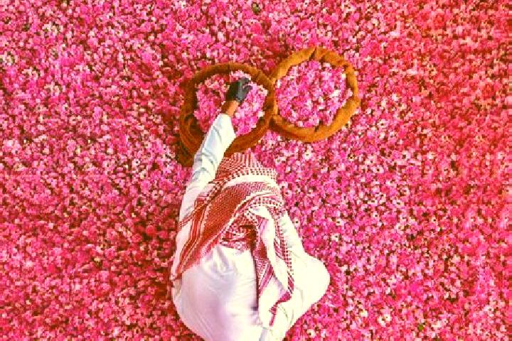 Aria, 35 — Escort in Al Taif, Sudan