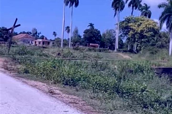 Aria, 35 — Escort in Corralillo, Cuba