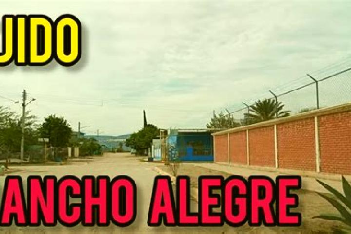 Aria, 35 — Escort in Ejido Rancho Alegre, Mexico