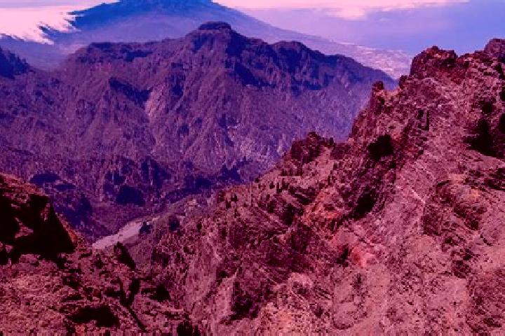 Aria, 35 — Escort in La Palma de Emenguaro, Mexico