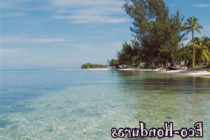 Aria, 35 — Escort in Palkaka, Honduras